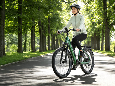 Dukawey FUGL3.0 City E-Bike