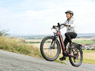 Dukawey FUGL3.0 City E-Bike